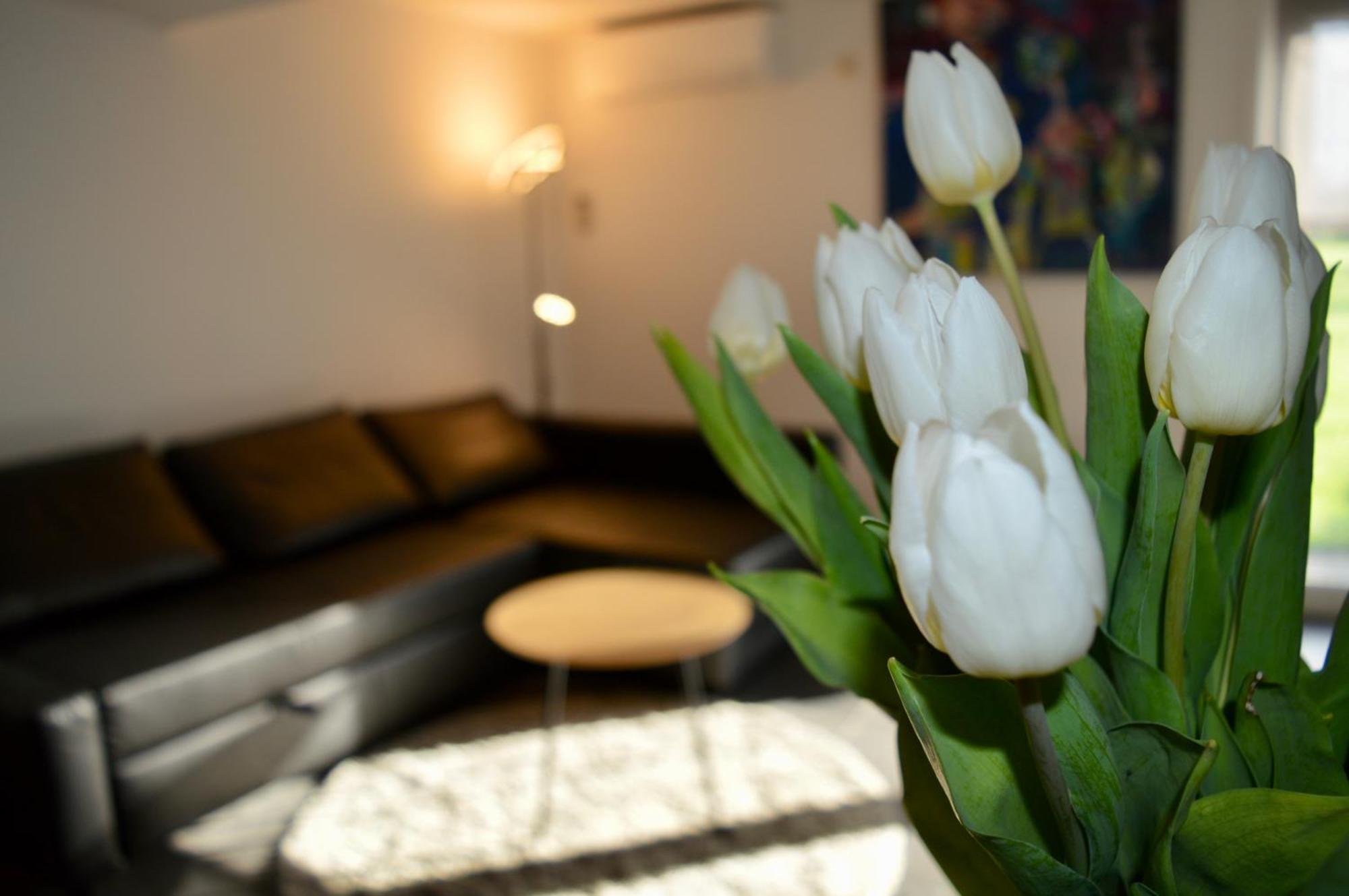 Hoeve De Sterappel Tongeren Zewnętrze zdjęcie